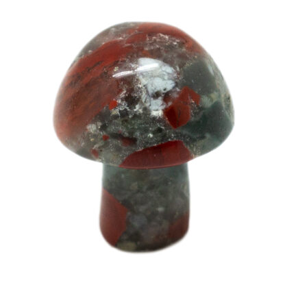 African Bloodstone Tiny Mushroom