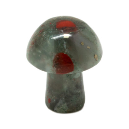 African Bloodstone Tiny Mushroom - Image 3