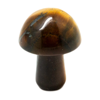 Tiger's Eye Tiny Mushroom