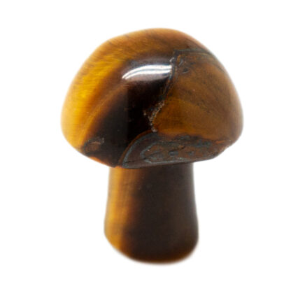 Tiger's Eye Tiny Mushroom - Image 3