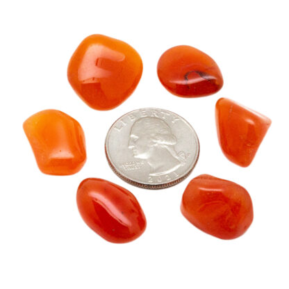 Carnelian Tumbled Stone Set (0.5-0.75") - Image 3