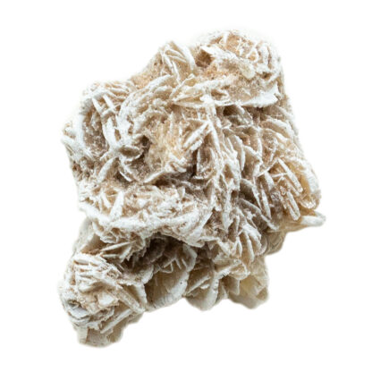 Desert Rose Selenite(Small) - Image 6