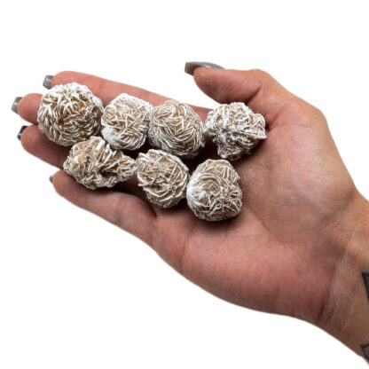 Desert Rose Selenite(Small) - Image 8