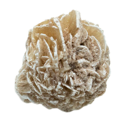 Desert Rose Selenite