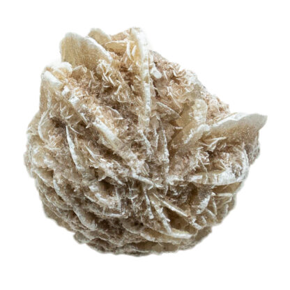 Desert Rose Selenite - Image 2