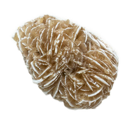 Desert Rose Selenite - Image 3