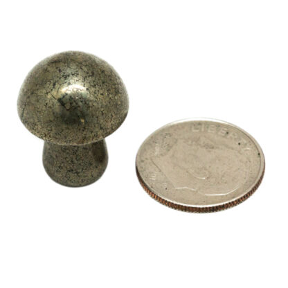 Pyrite Tiny Mushroom - Image 4