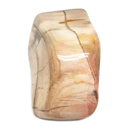 Petrified Wood Tumbled Stone - Image 2