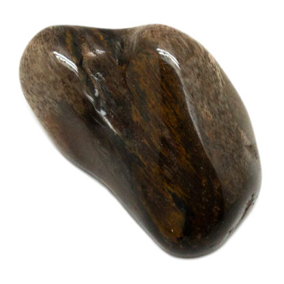 Petrified Wood Tumbled Stone - Image 3