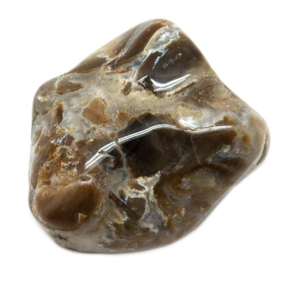 Petrified Wood Tumbled Stone - Image 4