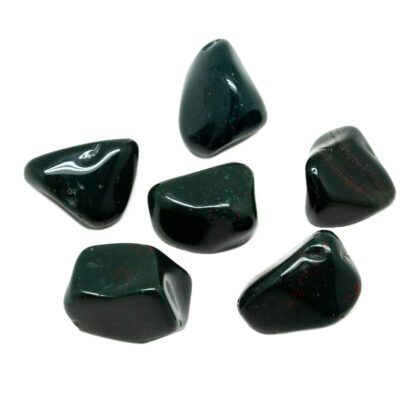 Bloodstone (Heliotrope) Tumbled Stone Set