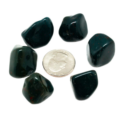 Bloodstone (Heliotrope) Tumbled Stone Set - Image 2