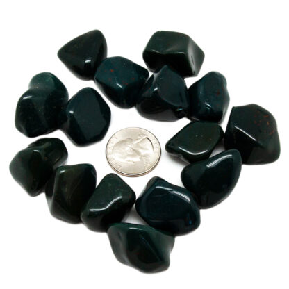 Bloodstone (Heliotrope) Tumbled Stone Set - Image 3