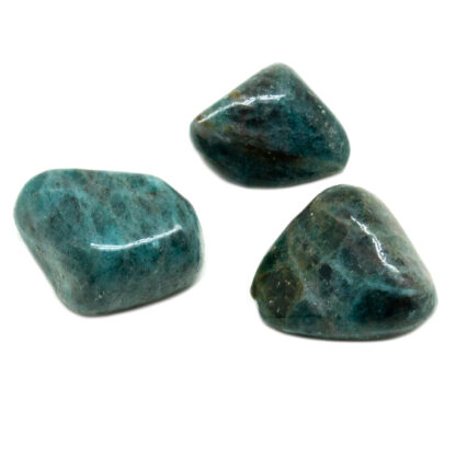 Blue Apatite Tumbled Set - Image 2