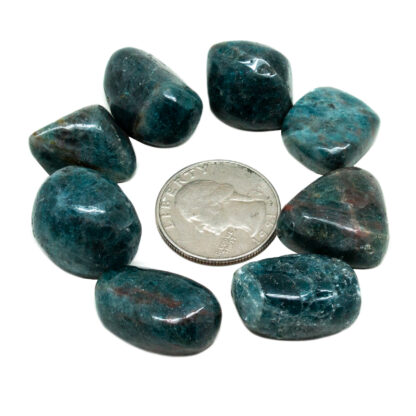 Blue Apatite Tumbled Set - Image 3