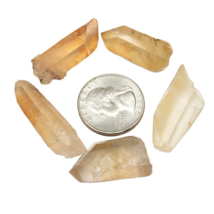 Golden Healer Lemurian Seed Crystal(0.75-1") - Image 13