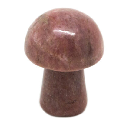 Rhodonite Tiny Mushroom - Image 4