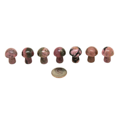 Rhodonite Tiny Mushroom - Image 5