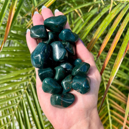 Bloodstone (Heliotrope) Tumbled Stone Set - Image 4