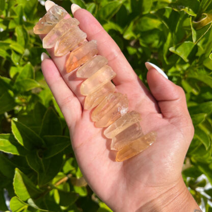 Golden Healer Lemurian Seed Crystal(0.75-1") - Image 15