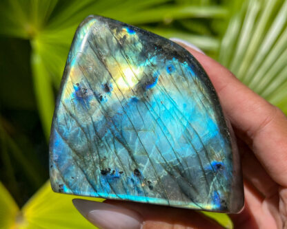 Labradorite Freeform