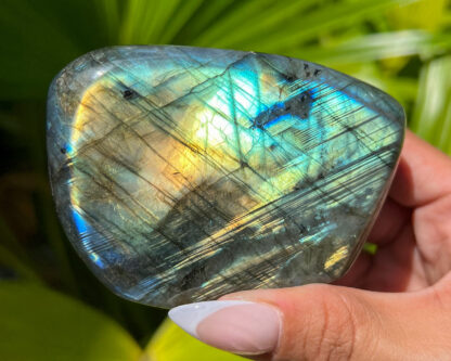 Labradorite Freeform