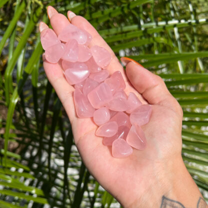 Rose Quartz Tumbled Stone Set (0.25-0.5") - Image 4