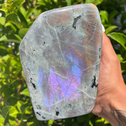 Labradorite Freeform with Orange/Purple Flash (3 lb 6oz) - Image 2