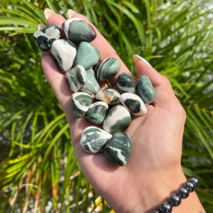 Green Sardonyx Tumbled Stone (20-30mm) - Image 9