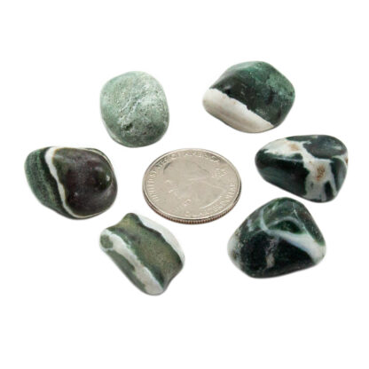 Green Sardonyx Tumbled Stone (20-30mm) - Image 8