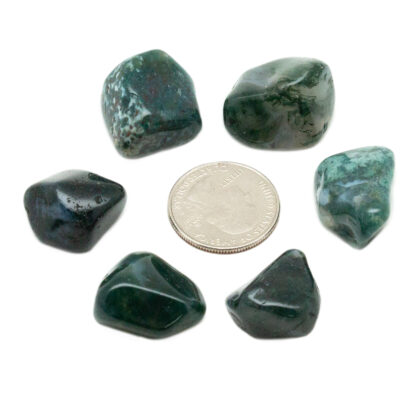 Moss Agate Tumbled Stone (20-30mm) - Image 6