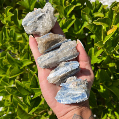 Blue Kyanite Cluster(2-3") - Image 6