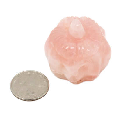 Rose Quartz Pumpkin Carving (1.25-1.5") - Image 4