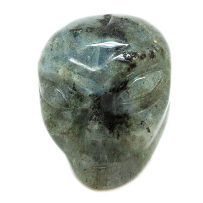 Gray Labradorite Alien Head Carving