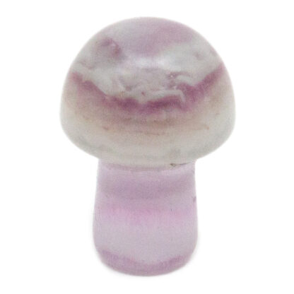 Fluorite Tiny Mushroom - Image 2