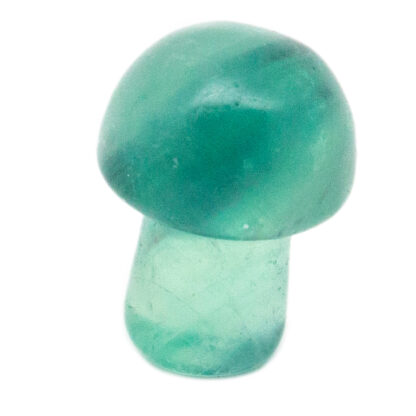 Fluorite Tiny Mushroom - Image 5