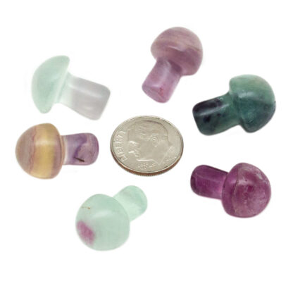 Fluorite Tiny Mushroom - Image 6