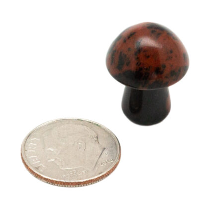 Mahogany Obsidian Tiny Mushroom - Image 4