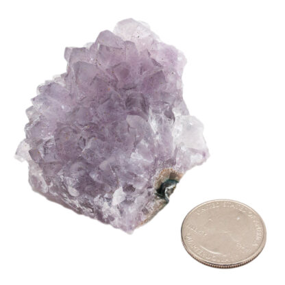 Amethyst Cluster (2-3") - Image 6