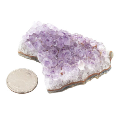 Amethyst Cluster (2-3") - Image 7