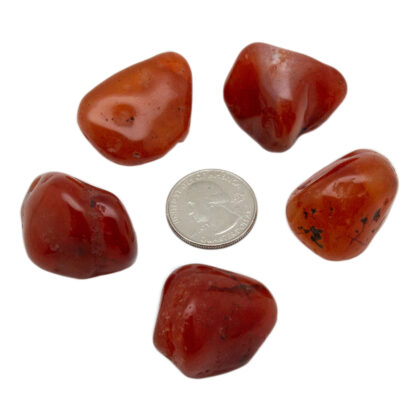 Carnelian Tumbled Stone (1-1.5") - Image 5