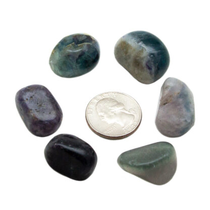 Fluorite Tumbled Stone (20-30mm) - Image 4