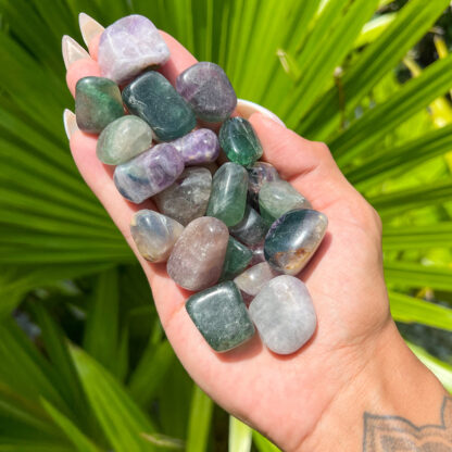 Fluorite Tumbled Stone (20-30mm) - Image 5