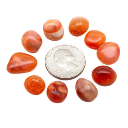 Carnelian Tumbled Stone Set (10-15mm) - Image 3