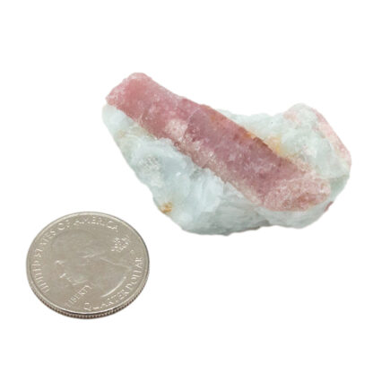 Pink Tourmaline in Matrix Rough(2-2.5") - Image 4