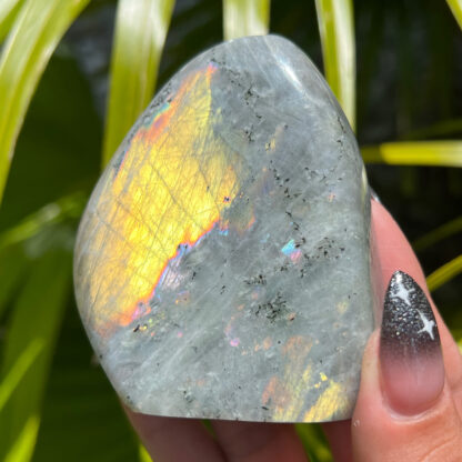 Labradorite Yellow Flash Polished Freeform