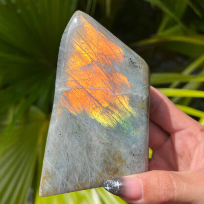 Labradorite Orange Flash Polished Freeform