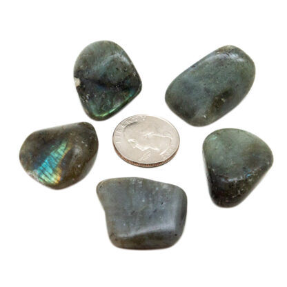 Labradorite Tumbled Stone (1-1.5”) - Image 4