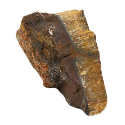 Tiger's Eye Rough Stone-2" - Image 3