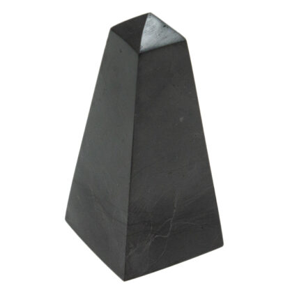 Shungite Tower (2.5-3")